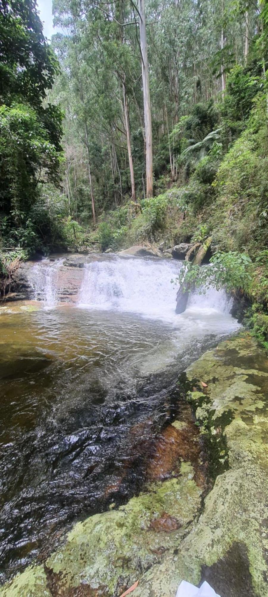 Appartement Ap Centro Cascatinha Prox Parque à Nova Friburgo Extérieur photo